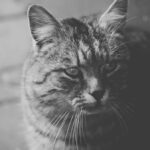 resized_24_api
